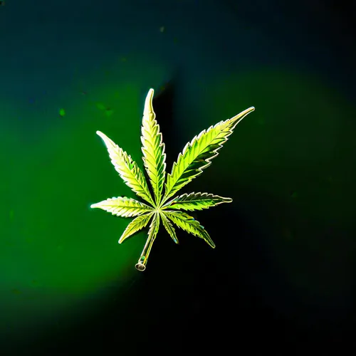 Empowering Cannabis Marketing Through Sustainability Strategies