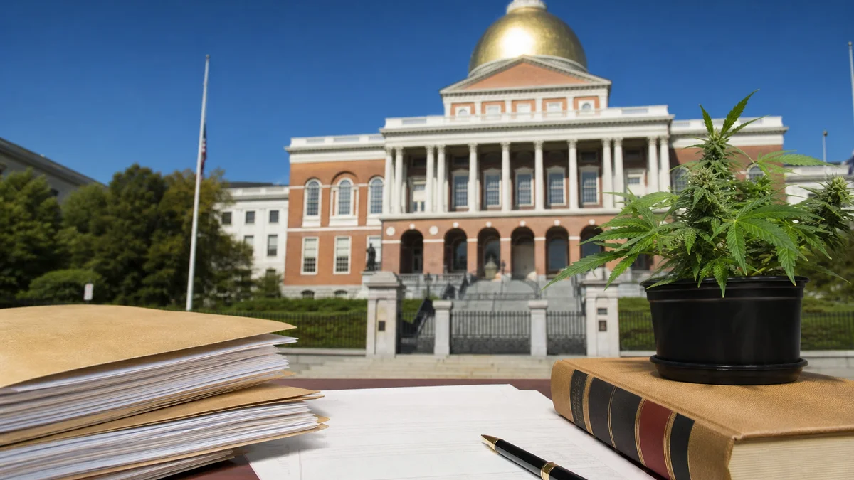 Massachusetts Finds 20% of Cannabis Samples Mislabeled in Potency Sting