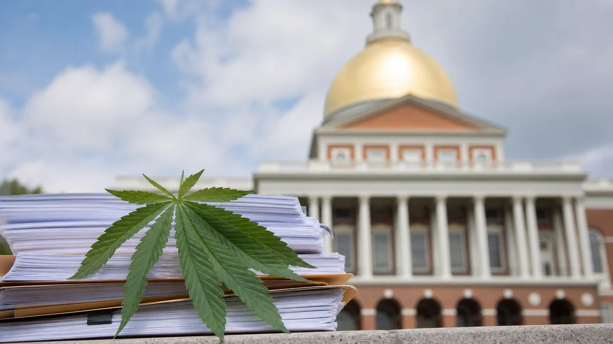 Anti-Cannabis Group Outspends Massachusetts Industry 10-to-1