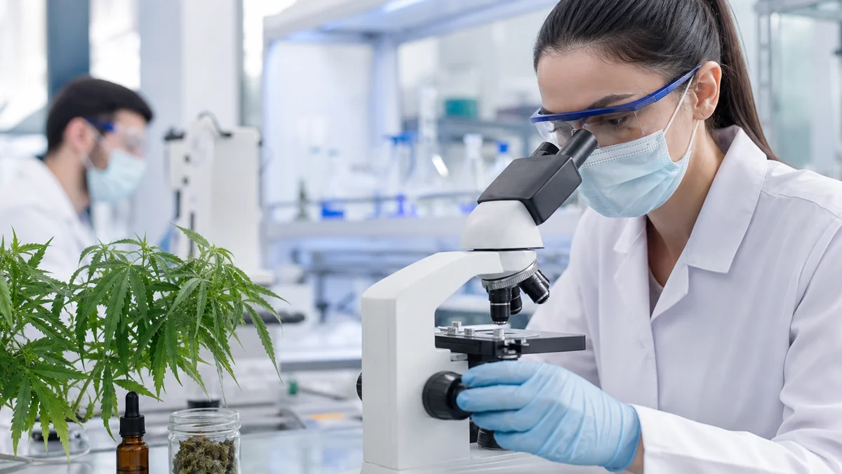 Israeli Study Links Medical Cannabis to Lower Back Pain Relief, Opioid Reduction